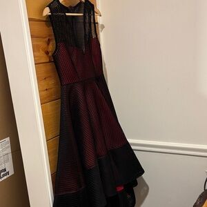 Black and Red Mesh Dress